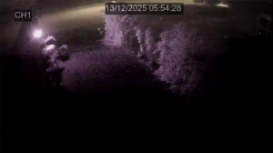 Caméra IP - Pays-Bas