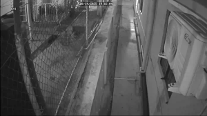 Caméra IP - Trinidad and Tobago