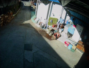 Caméra IP - South Korea