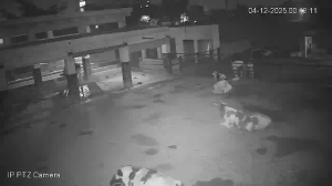 Caméra IP - Pakistan