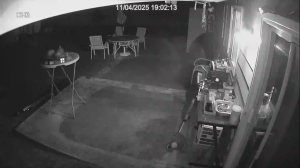 Caméra IP - Estados Unidos