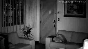 Caméra IP - Brasilien