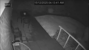 Caméra IP - Belgium