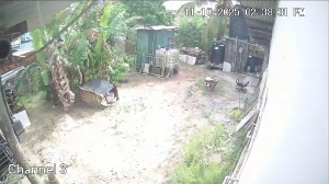 Caméra IP - Trinidad und Tobago