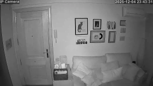 Caméra IP - Espagne