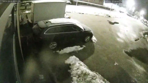 Caméra IP - Paesi Bassi