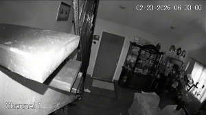 Caméra IP - United States of America