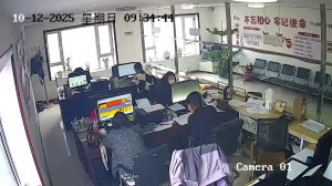 Caméra IP - China