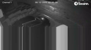 Caméra IP - Royaume-Uni