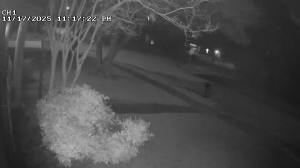 Caméra IP - United States of America