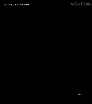 Caméra IP - グアム