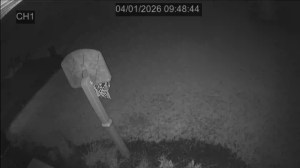 Caméra IP - United States of America