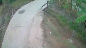 Caméra IP - Vietnam