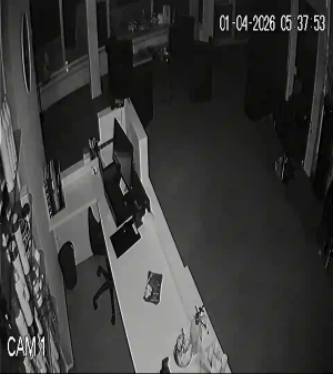 Caméra IP - Netherlands