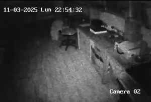 Caméra IP - Ecuador