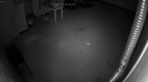 Caméra IP - United States of America