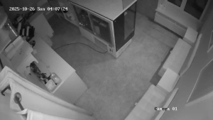 Caméra IP - Russian Federation