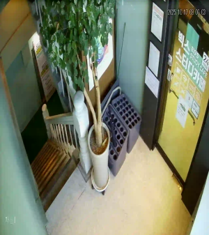 Caméra IP - Südkorea