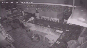 Caméra IP - Lithuania