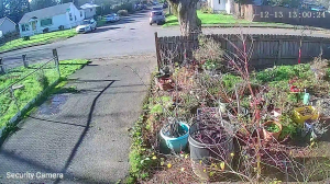 Caméra IP - États-Unis d'Amérique