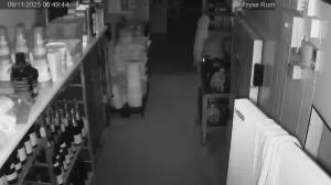 Caméra IP - Dänemark