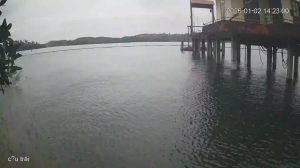 Caméra IP - Vietnam