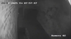 Caméra IP - Dinamarca