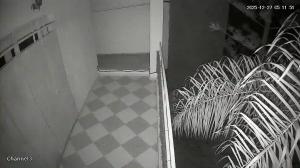 Caméra IP - Algeria