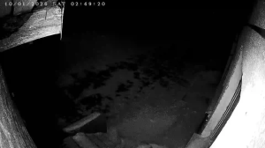 Caméra IP - Bielorussia