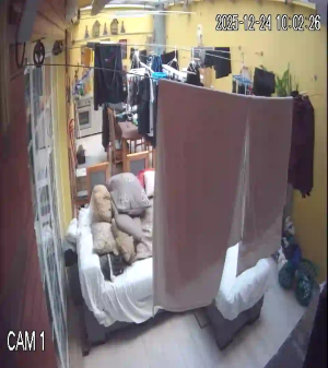 Caméra IP - Portugal