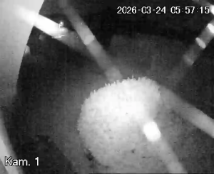 Caméra IP - Slovakia