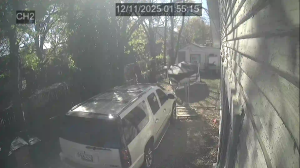 Caméra IP - Belgium