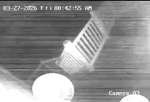 Caméra IP - United States of America