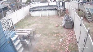 Caméra IP - Estados Unidos