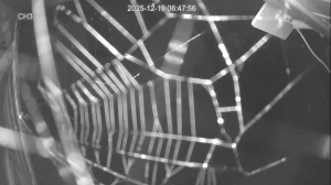 Caméra IP - United Kingdom