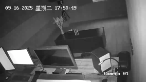 Caméra IP - Chine