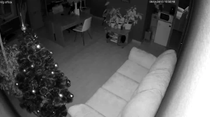 Caméra IP - Russian Federation