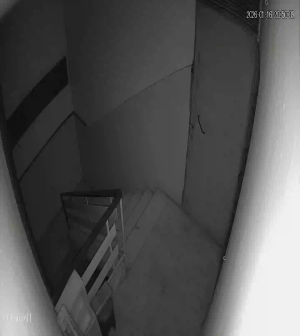 Caméra IP - Libanon