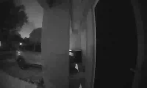 Caméra IP - Australien