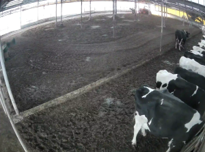 Caméra IP - República de Corea