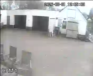 Caméra IP - Netherlands