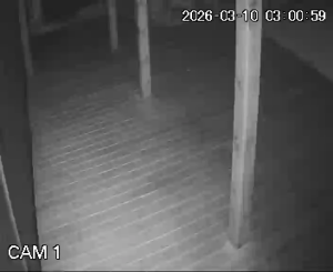 Caméra IP - Lituania