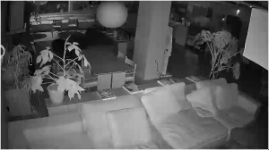 Caméra IP - Corea del Sud