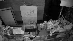 Caméra IP - Vietnam