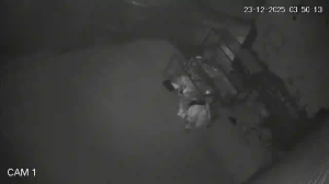 Caméra IP - Vietnam