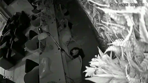 Caméra IP - Brasilien