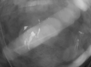 Caméra IP - South Korea