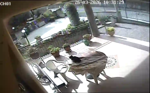 Caméra IP - Italien