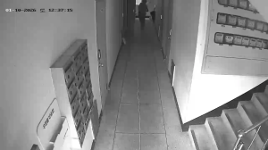 Caméra IP - South Korea