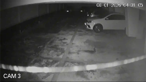 Caméra IP - Argentine